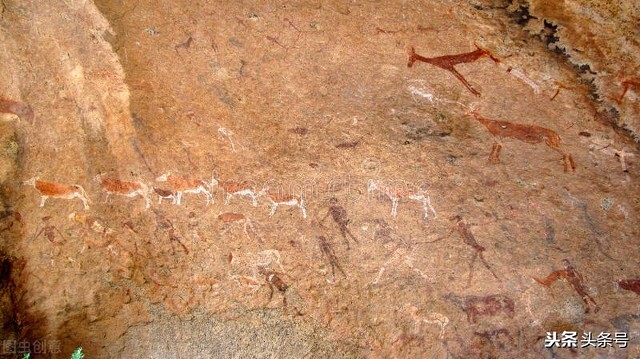 狗礼仪文化,狗尊重主人的表现