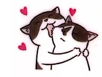 训练猫时可以给猫吃什么,训练猫捕食