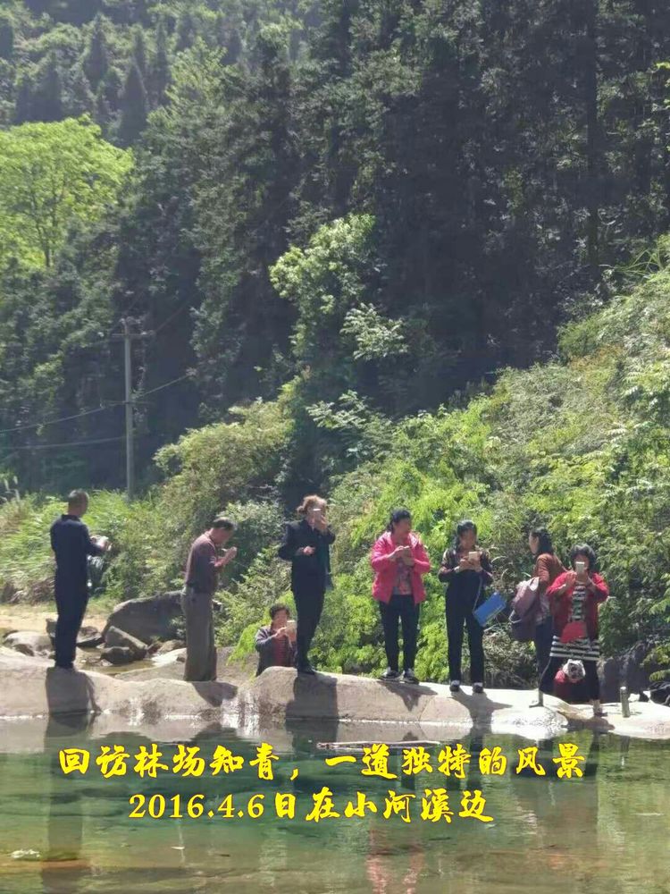 难以释怀的知青情结,60年代的知青情结