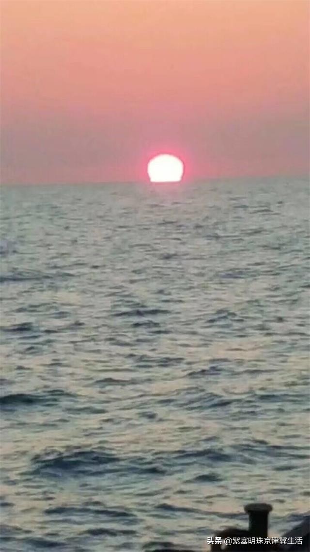 八月别来这座小岛，海鲜吃饱，大海景美唐山月坨岛009号别墅农家