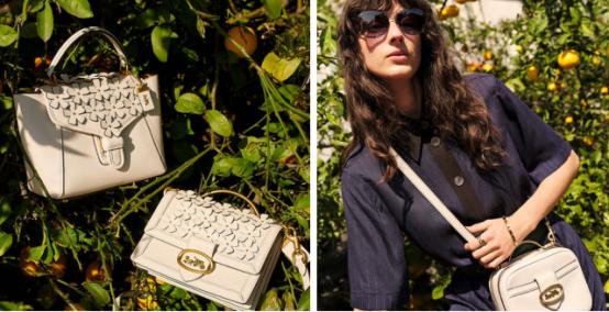 蔻驰coach经典款,蔻驰故事牌翻译