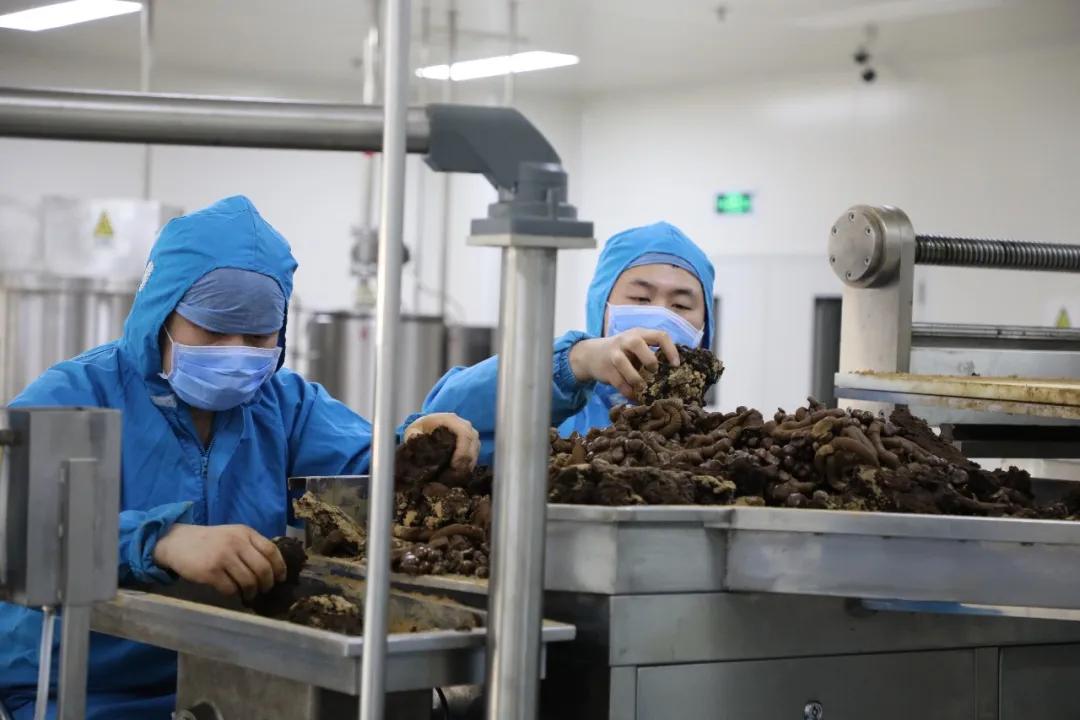 同仁堂试产“时疫清瘟丸”助疫情防控