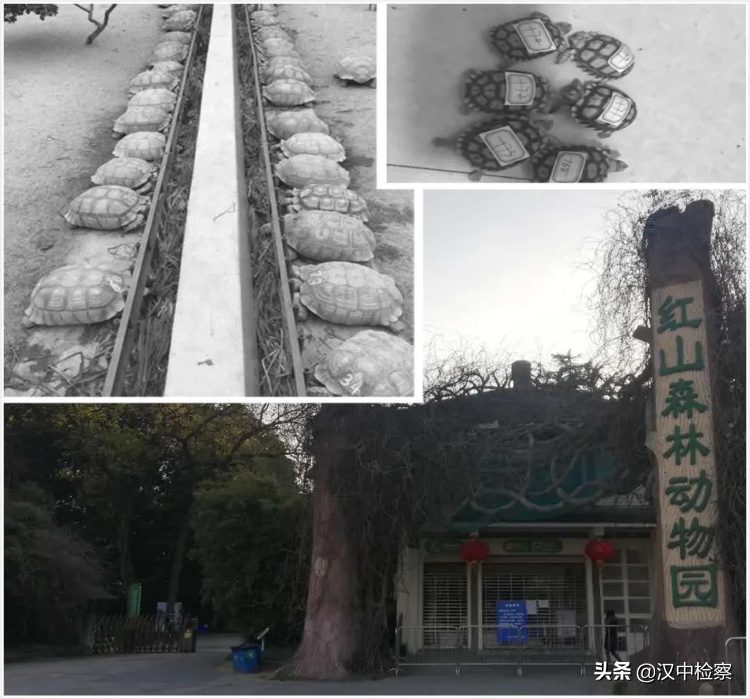 许可证过期可以延期吗,许可证即将过期怎么回事