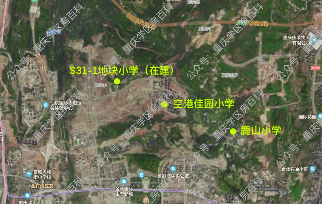 合肥中央公园最新方案布局,中央公园新规划学校