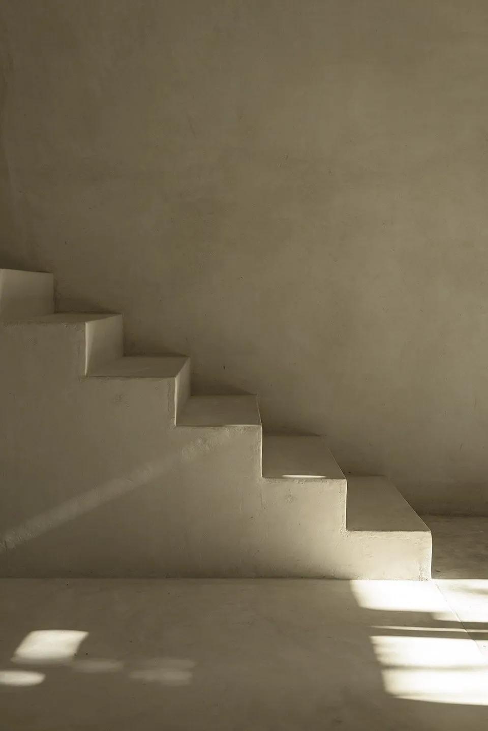 CO-LAB|自然系住宅