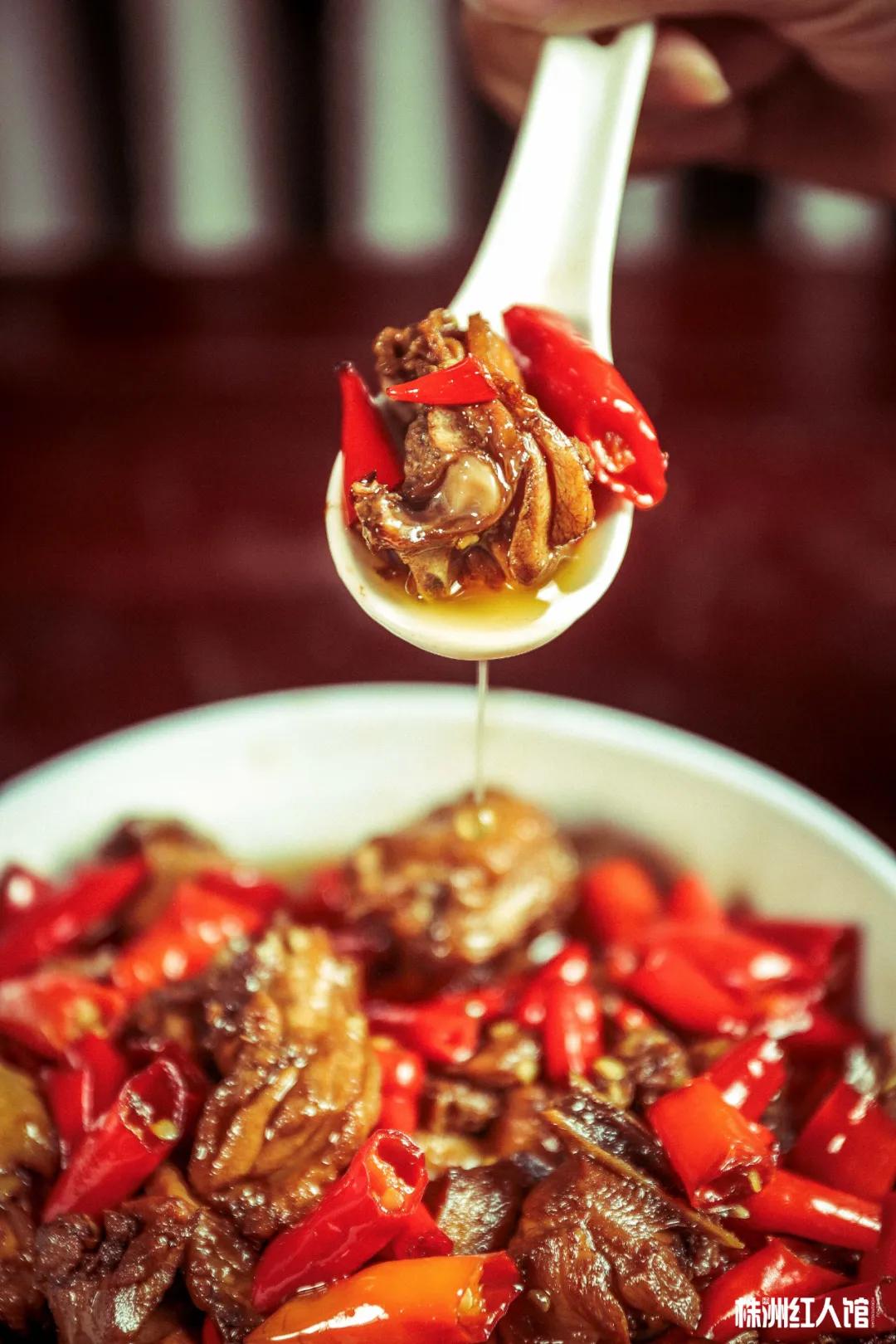 神经哥回归过程,神经哥原唱歌曲