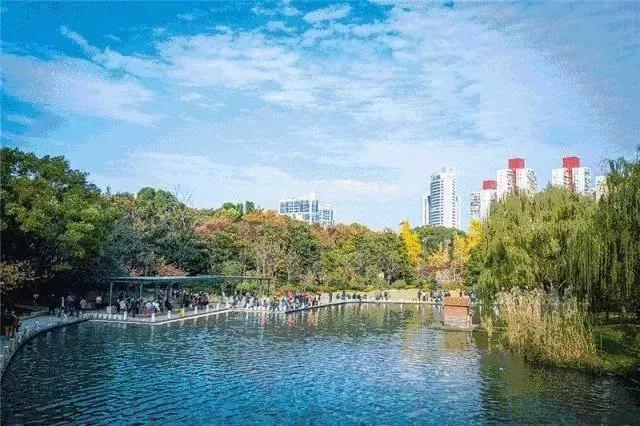 飞一般飞行感觉,飞一般的速度惊艳全场