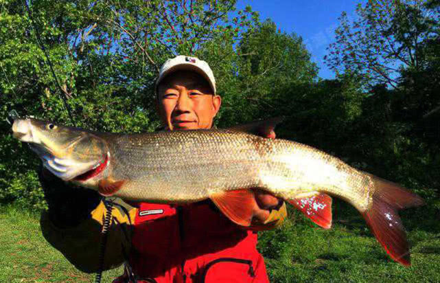 俄罗斯钓鱼为什么那么难钓,俄罗斯人钓鱼方法大全