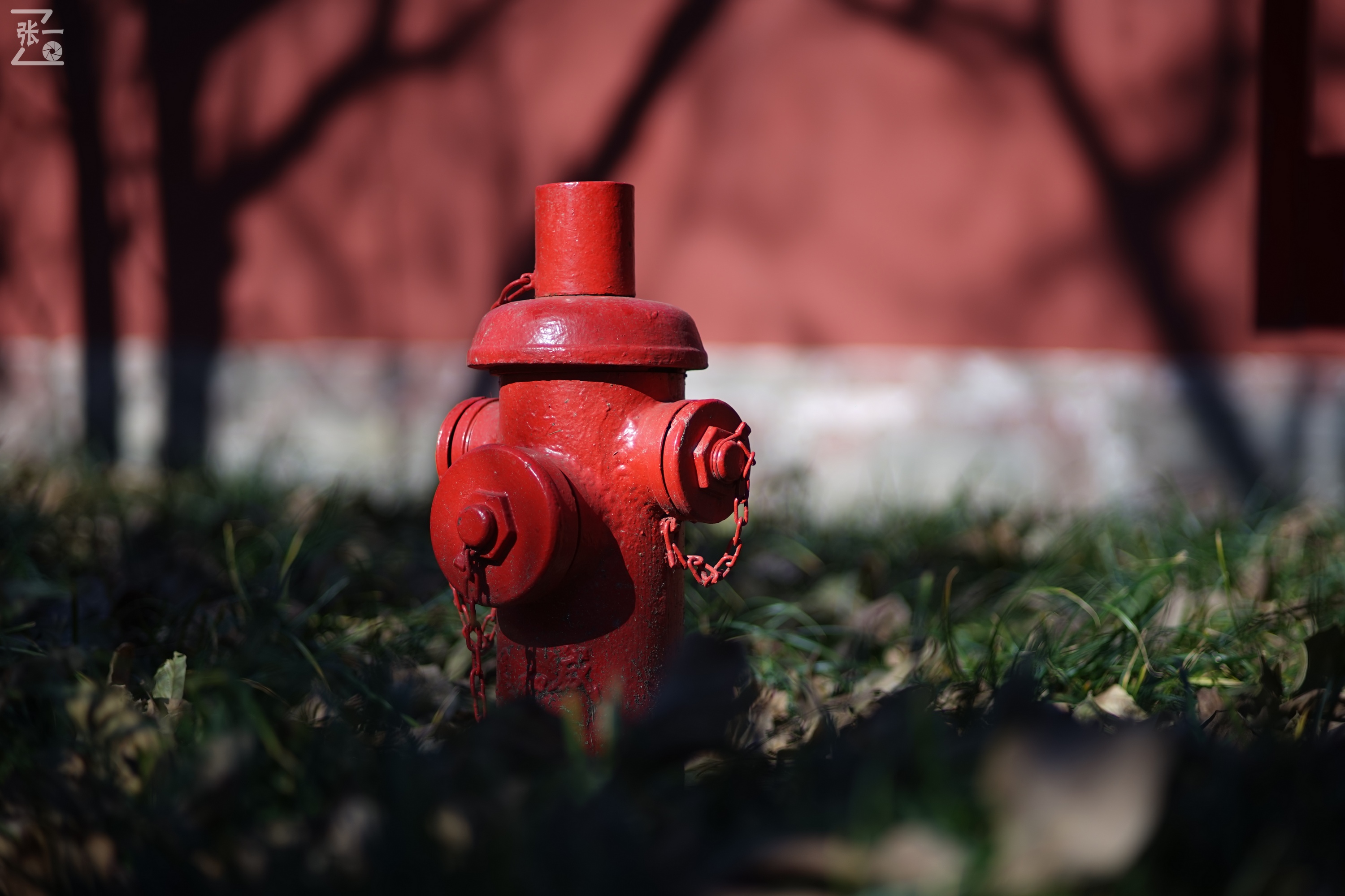 日本老镜头,canon老相机曝光