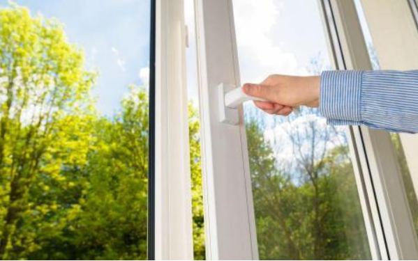 夏天猫咪怎么度过的,夏天猫咪怎么避暑旅游