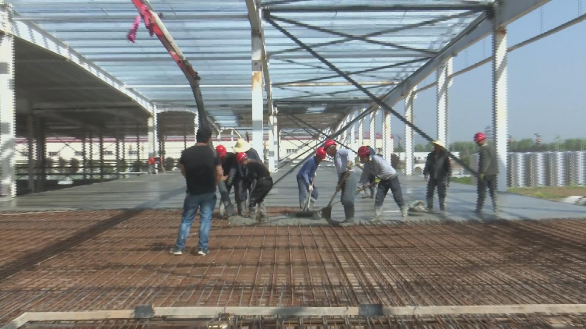 在那“桃”花盛开的地方——眉县荣获全市目标责任考核“九连冠”探析