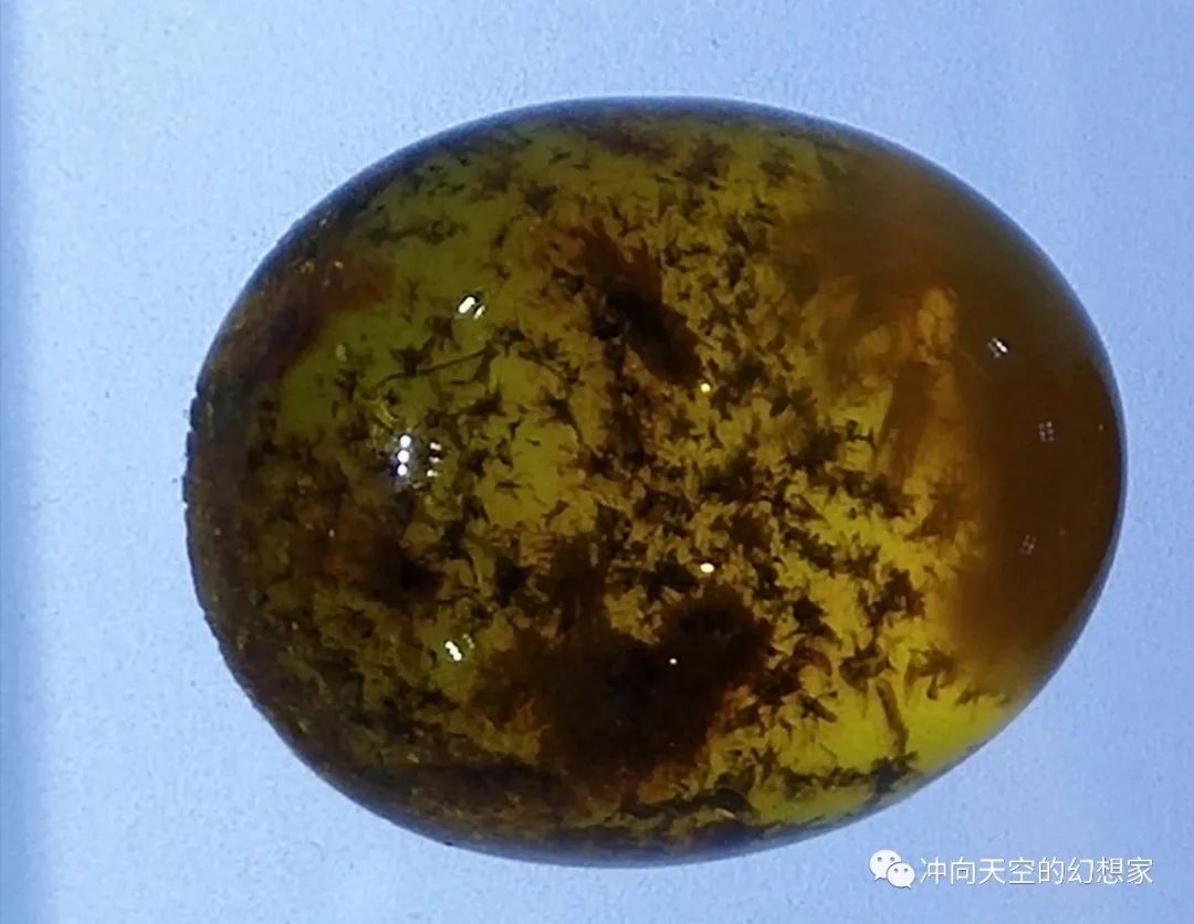 娆ф床鏃呮父鍩庡競,娆ф床鍩庡競鏃呮父搴﹀亣