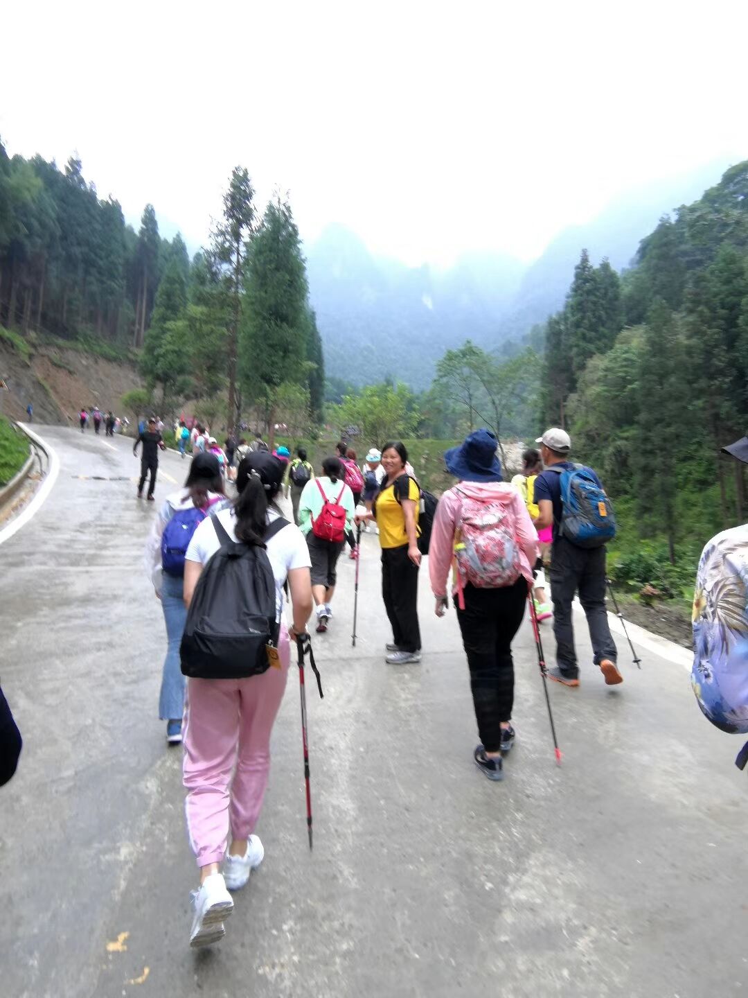 猴山飞瀑,猴山飞瀑旅游区地图