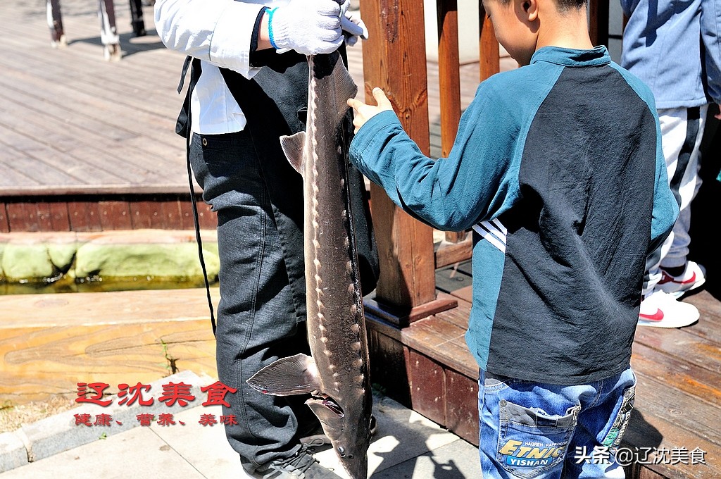 沈阳棋盘山满族风情村烤全羊,沈阳棋盘山莲花炖鱼馆烤全羊