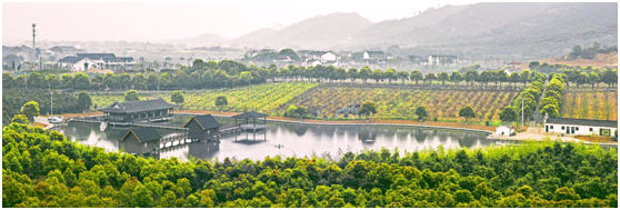 视觉江苏之五：江苏江阴——春风十里，醉美狮山湖！