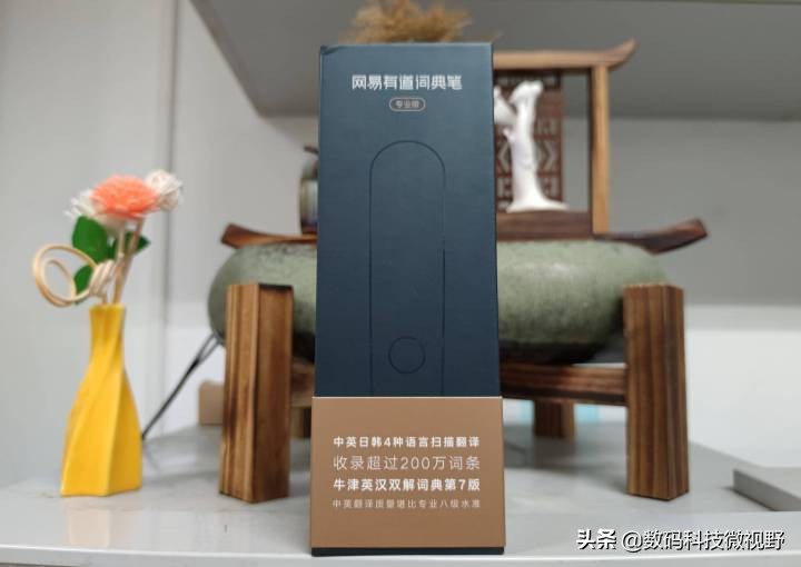 有道英语词典2.0要网络吗,有道词典笔3.0专业版怎么学英语