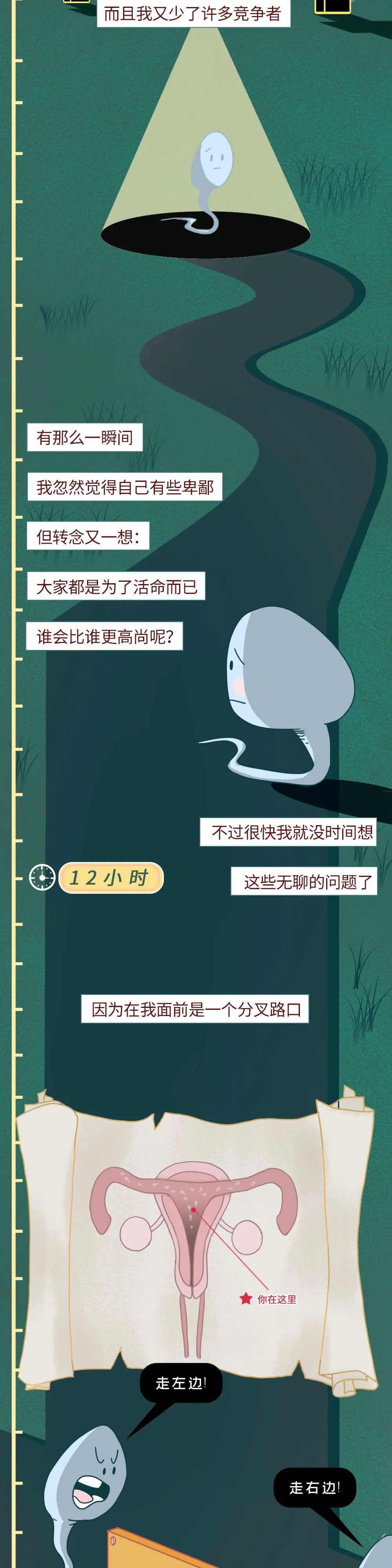 精子进入人体24小时变化,男性精子在体内存活时间