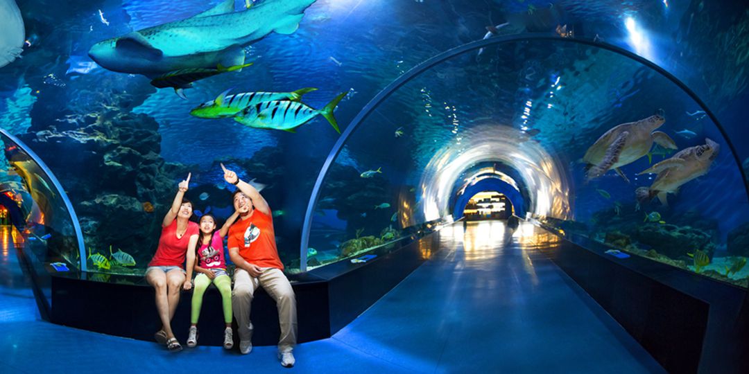 塘沽金街旅游攻略,塘沽海滨浴场游玩攻略