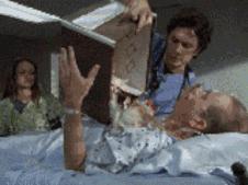 对猫过敏的人怎么养猫,为什么会有人对猫过敏