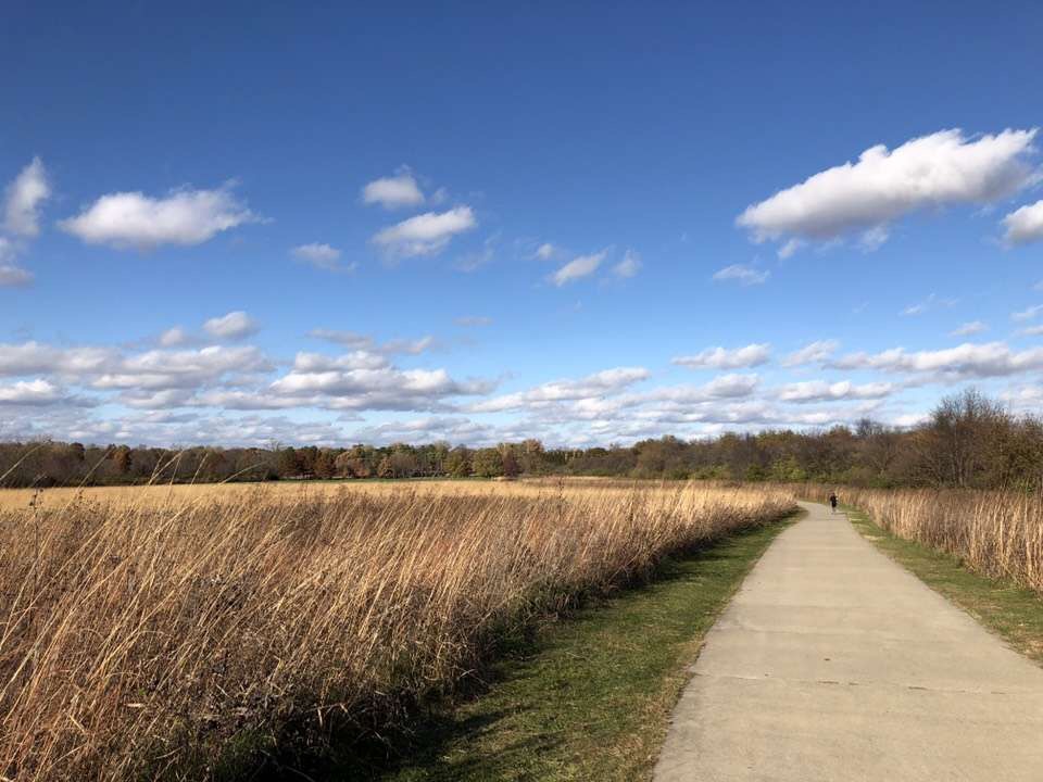 留学美国会计专业难不难,美国留学金融专业怎么样