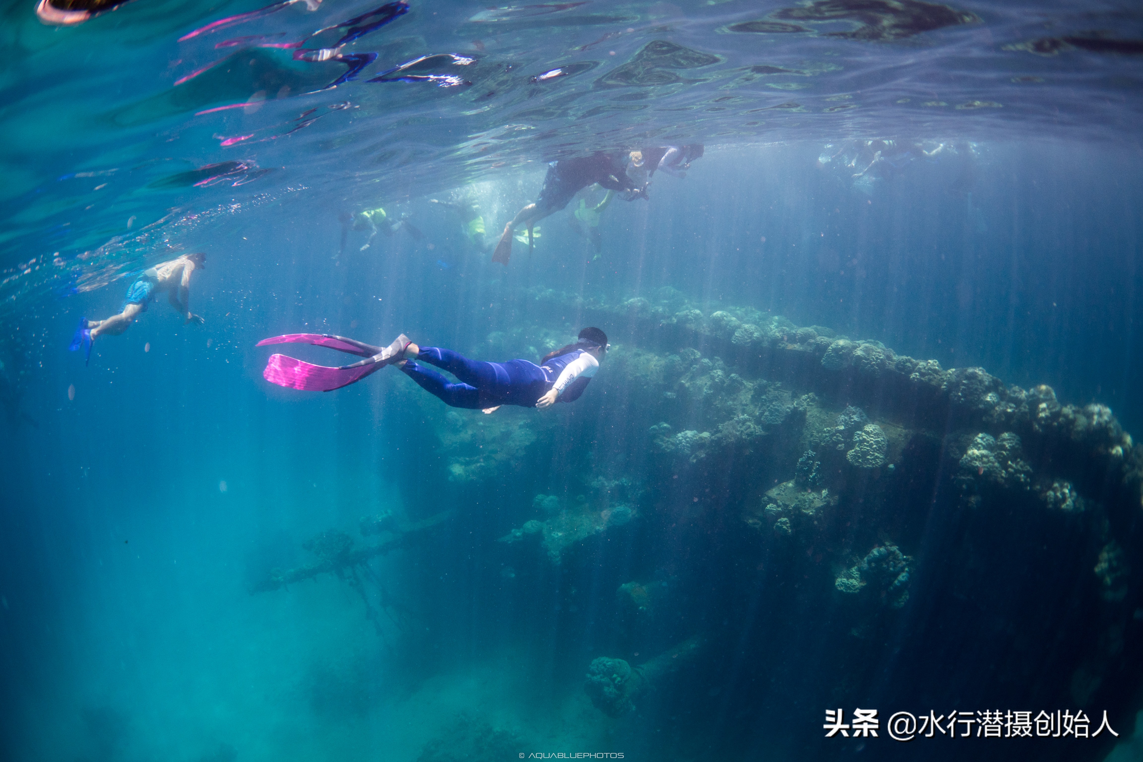 帕劳岛自由行潜水,帕劳水母湖自由潜视频