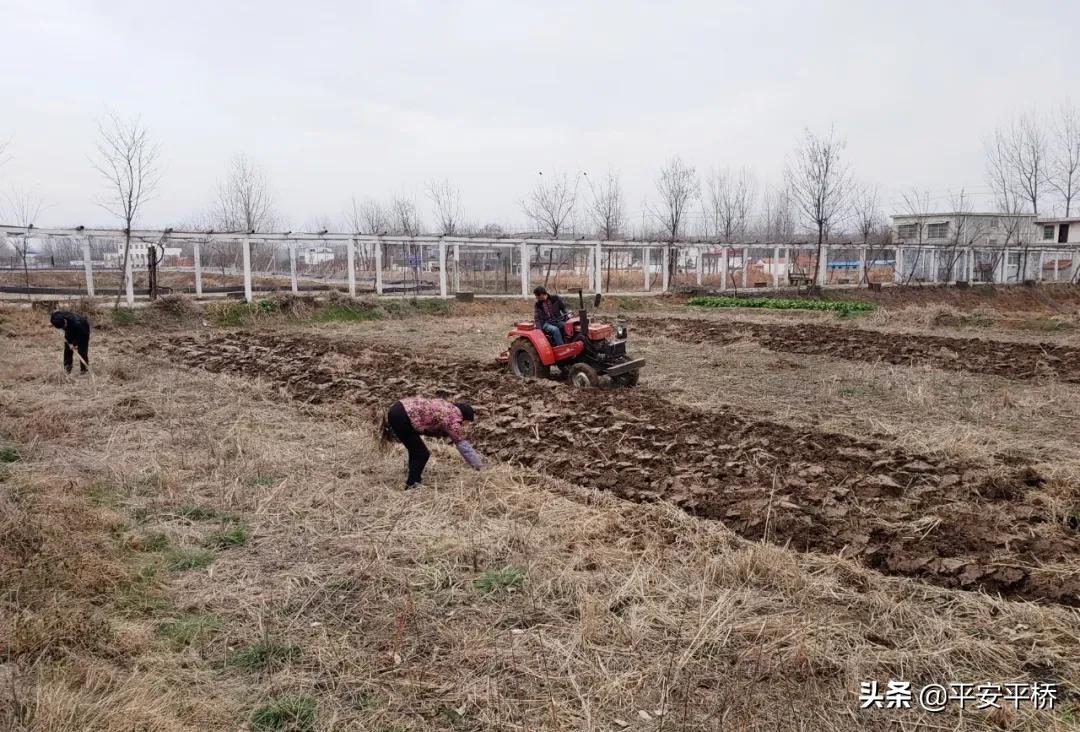 临渭区防疫不放松春耕工作,防控疫情不松劲春耕备耕不停歇