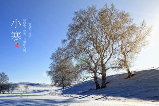 今日小寒｜轻舞一曲送冬雪，万家灯里待春风