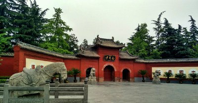 鸡血石与田黄石的结合,硬田黄石与田黄石