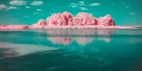 孩子高考考砸父母应该怎么样安慰,高考考砸了该怎么跟爸妈说