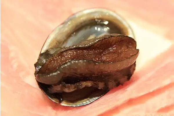 世界顶级鲍鱼菜图片,世界鲍鱼体型十大排行榜