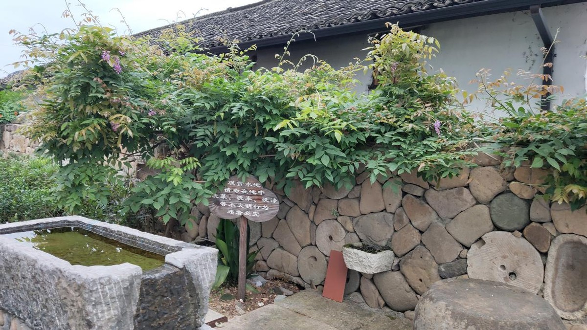 什么蜜源蜜蜂最好养,养蜜蜂的蜂洞哪种比较好