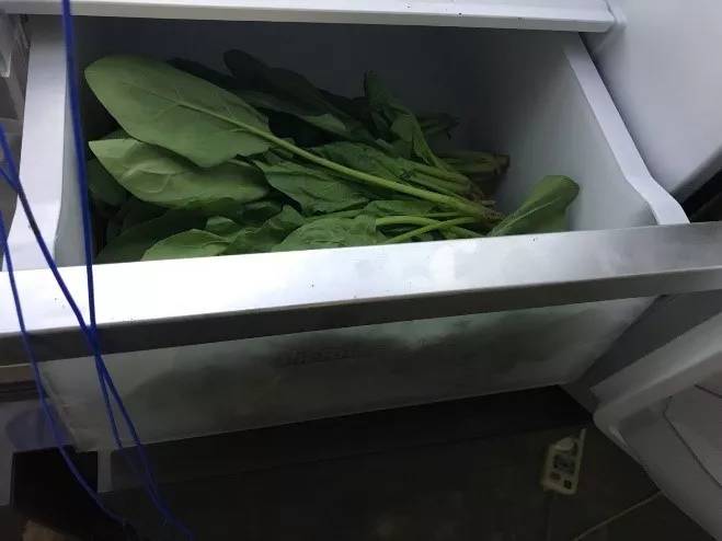 告别嵌入空间不足难题,美菱CHiQ“M鲜生”超薄冰箱评测