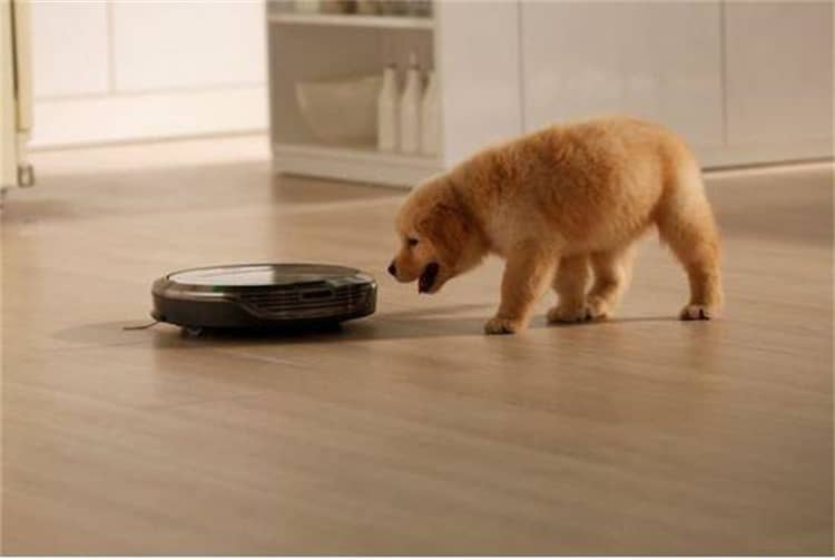 有扫地机器人还需要买洗地机吗,有扫地机器人还要买拖把吗