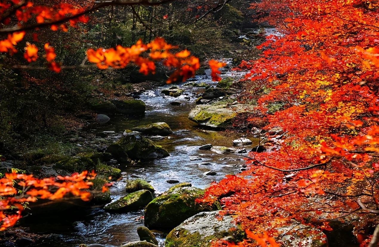 浅谈全国各省份,辽宁省本溪市地域分析
