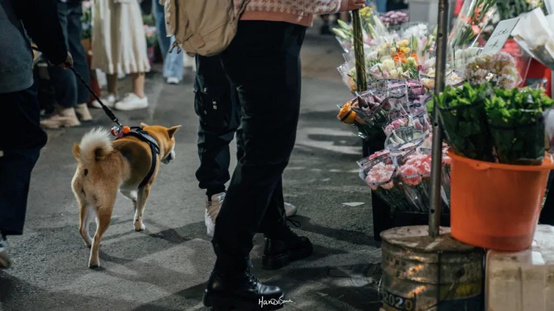 武汉地铁循礼门鲜花花市,武汉循礼门花市蓝色玫瑰