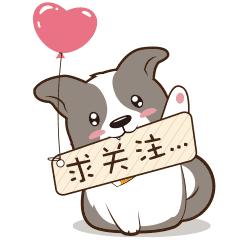 这碗狗粮我先干为敬小说,这一波狗粮我先干为敬啥意思