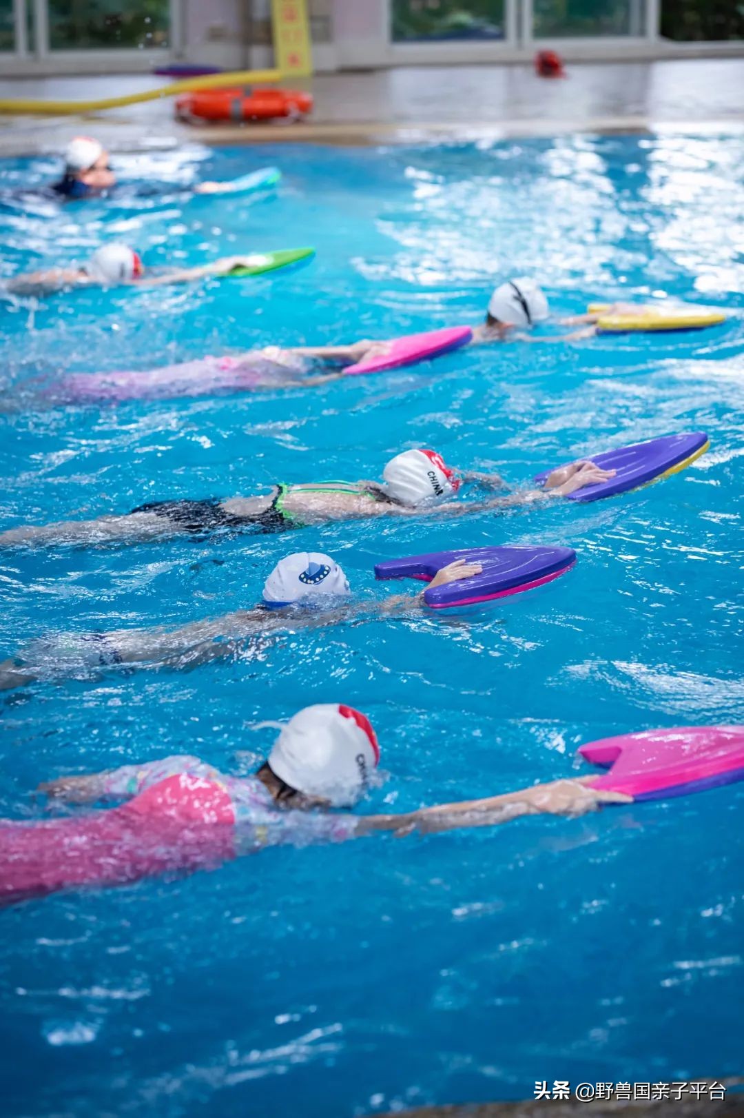 少儿篮球运动哪家好,权威少儿篮球兴趣班机构排名