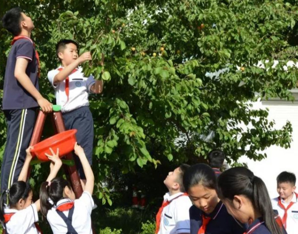 临沂六一儿童节游园活动,跳蚤市场儿童节