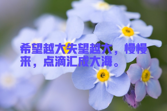 失望了怎么办最有效的方法,失望了怎么办温馨提示