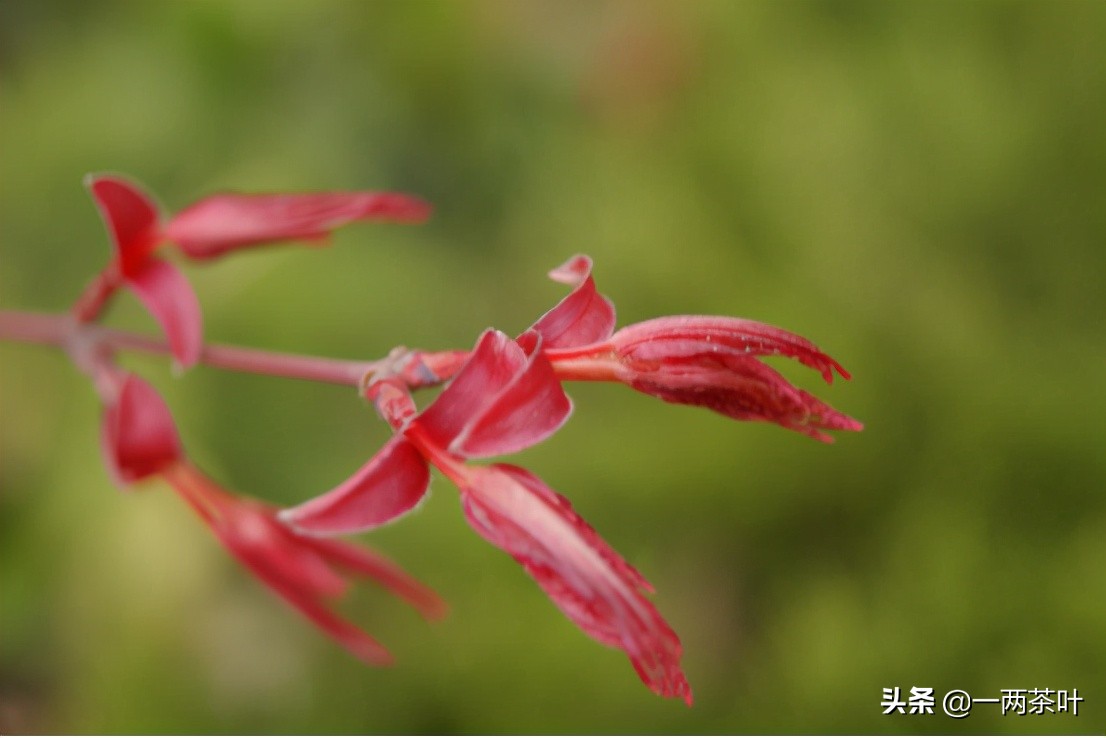 鲁西南话河南话,鲁西南话大全