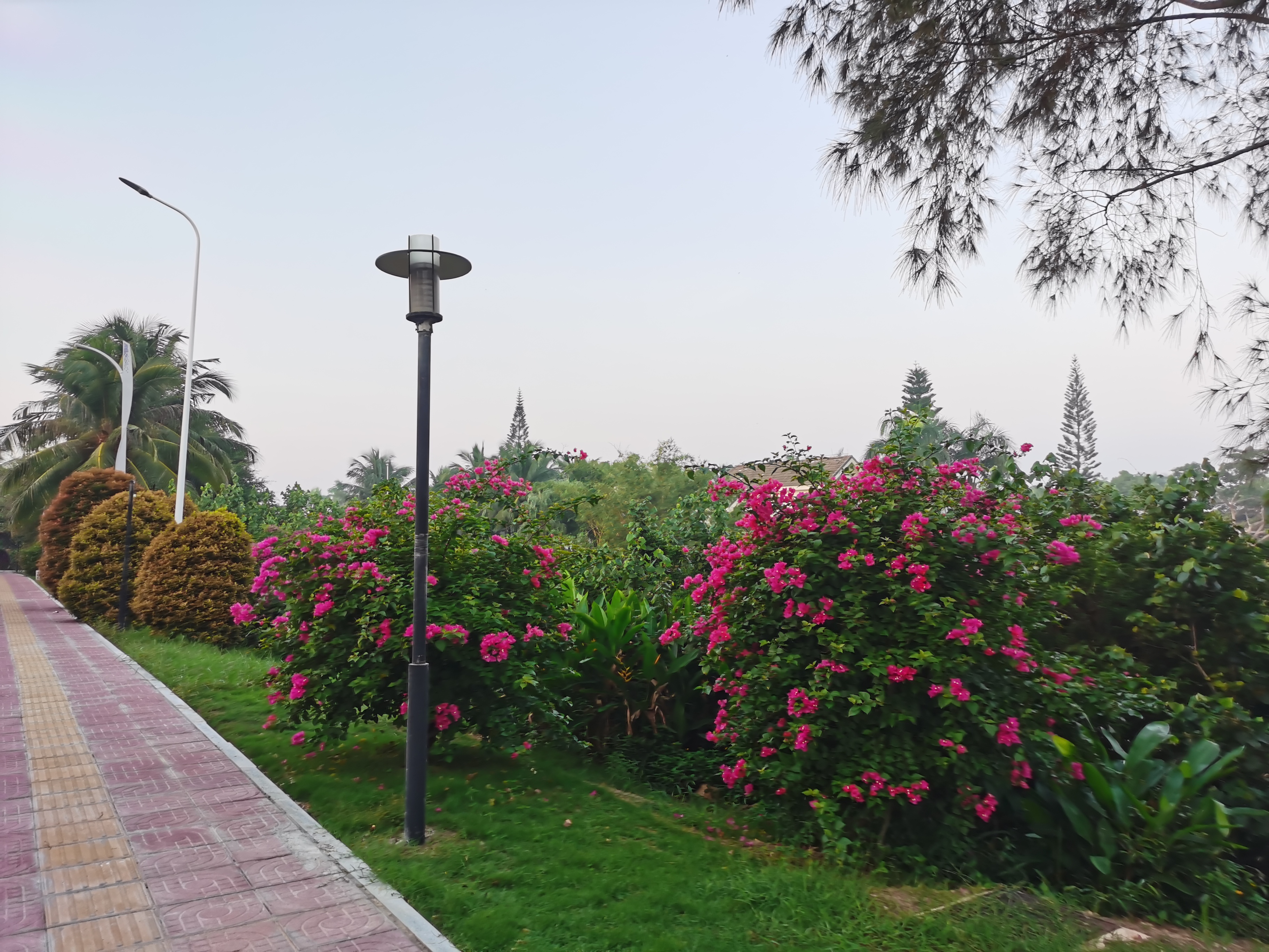 鍗氶硨璁哄潧姘镐箙浼氬潃涓囨硥娌冲叆娴峰彛,涓囨硥娌冲叆娴峰彛