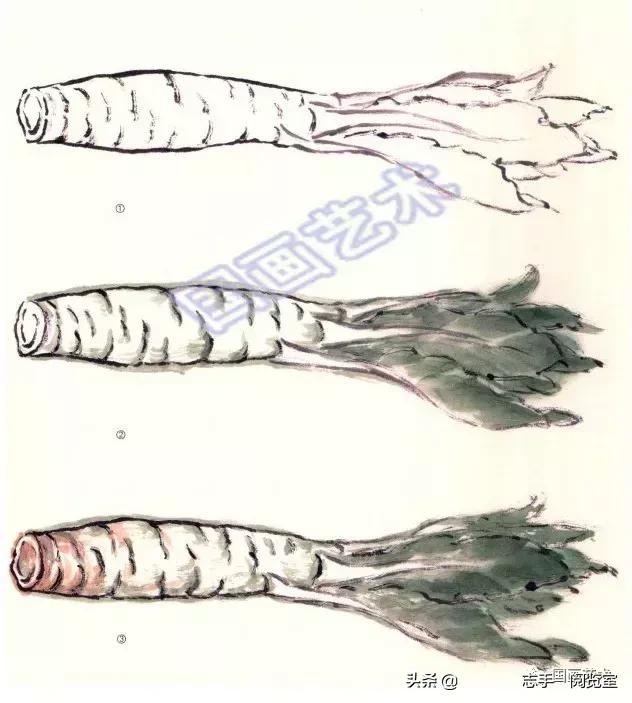 八种常见蔬菜画法,各种蔬菜画法