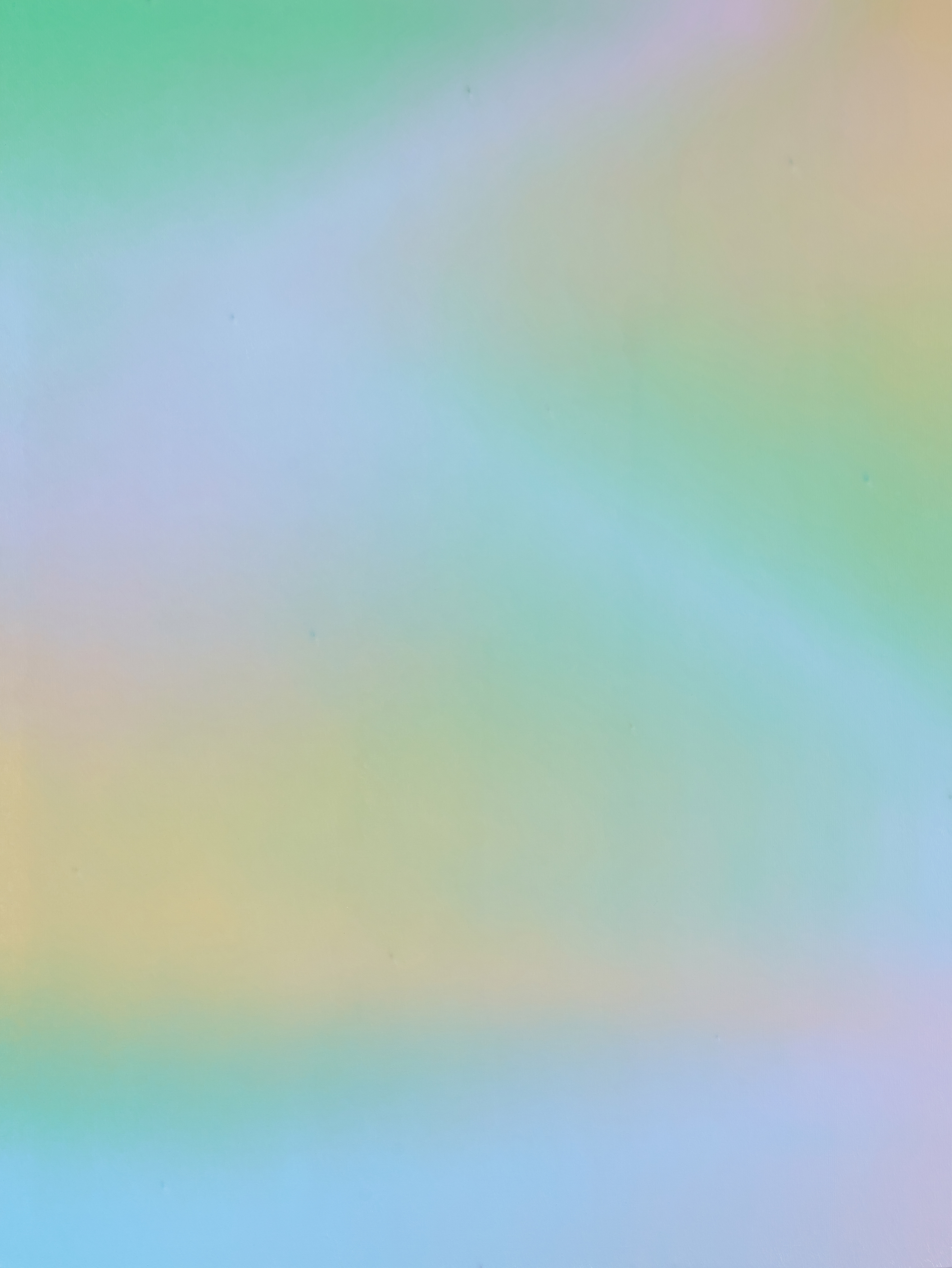 两端之间：万杨的绘画｜艺术栗子