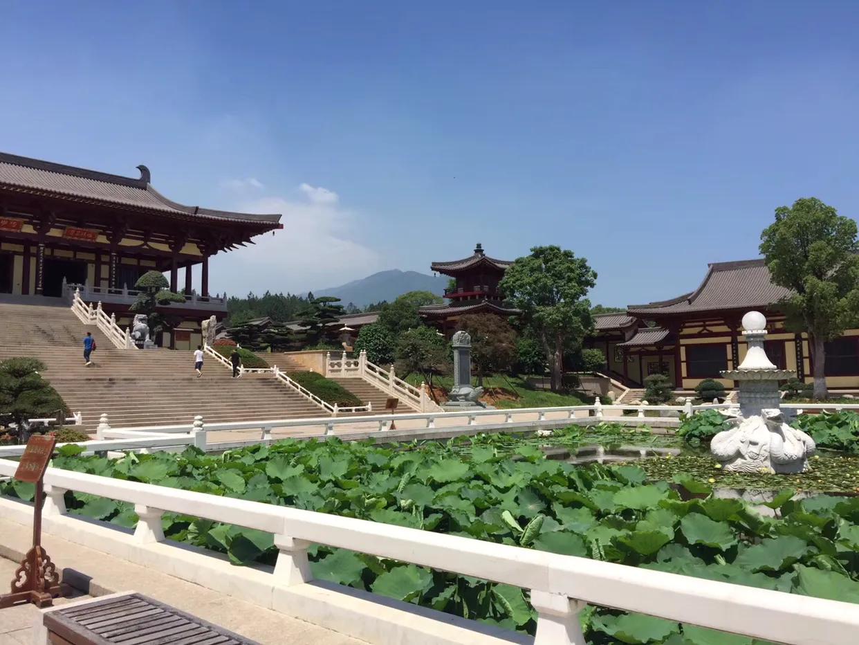 最新九江东林寺大佛,看完九江东林大佛还能去哪里