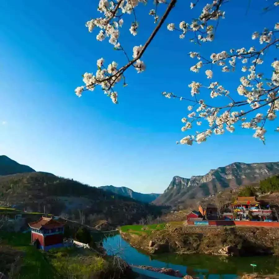 女神节相约美丽,女神节相约一起踏青赏花