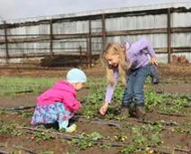 农庄餐饮怎么经营赚钱,怎么经营农家乐卖菜生意
