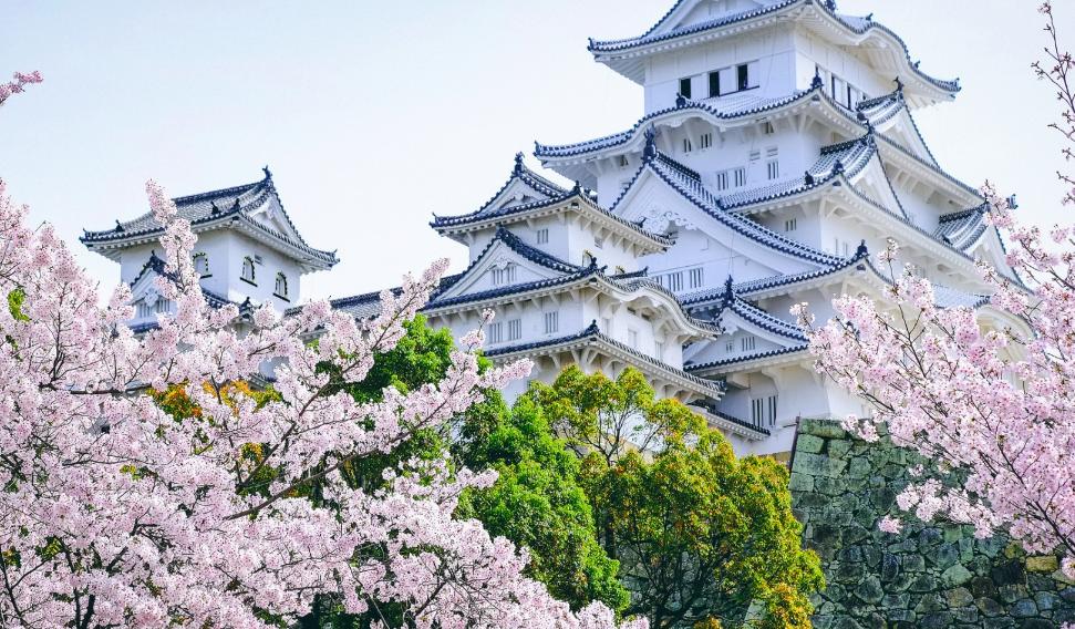 日语五十音片假名记忆方法,初学日语五十音记忆法