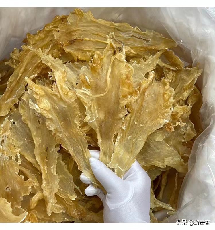 普通花胶冒充老花胶,鸡蛋胶假冒黄花胶