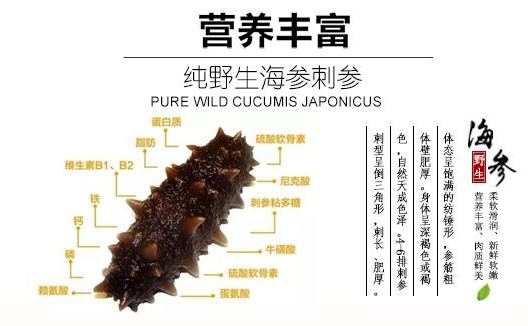 渤海湾海参春参好还是秋参好,海参怎样辨别春参还是秋参