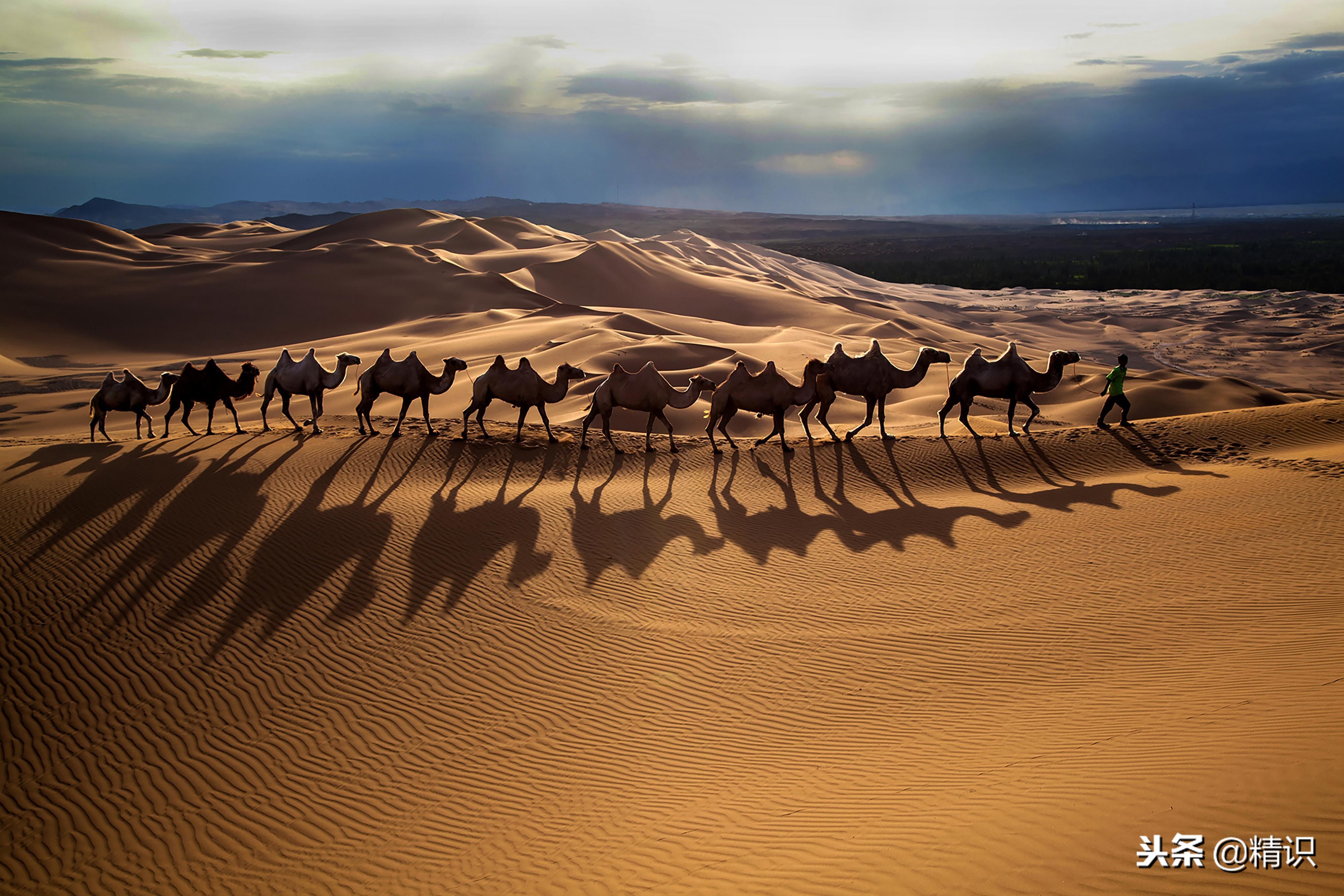 人命关天救人为先,保护自己生命安全的实用技巧